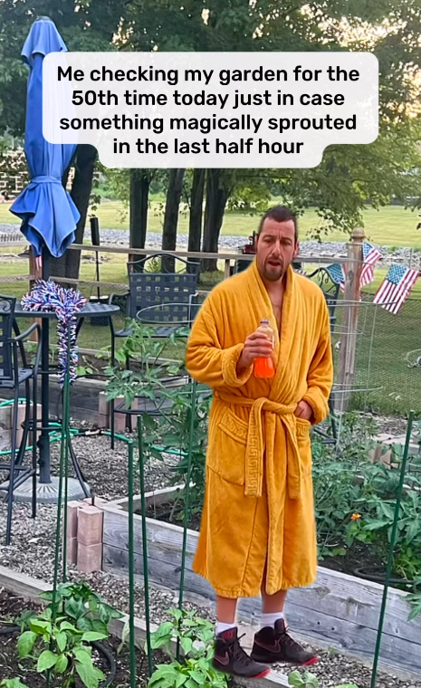 Me checking my garden for the 50th time today just in case something magically sprouted in the last half hour