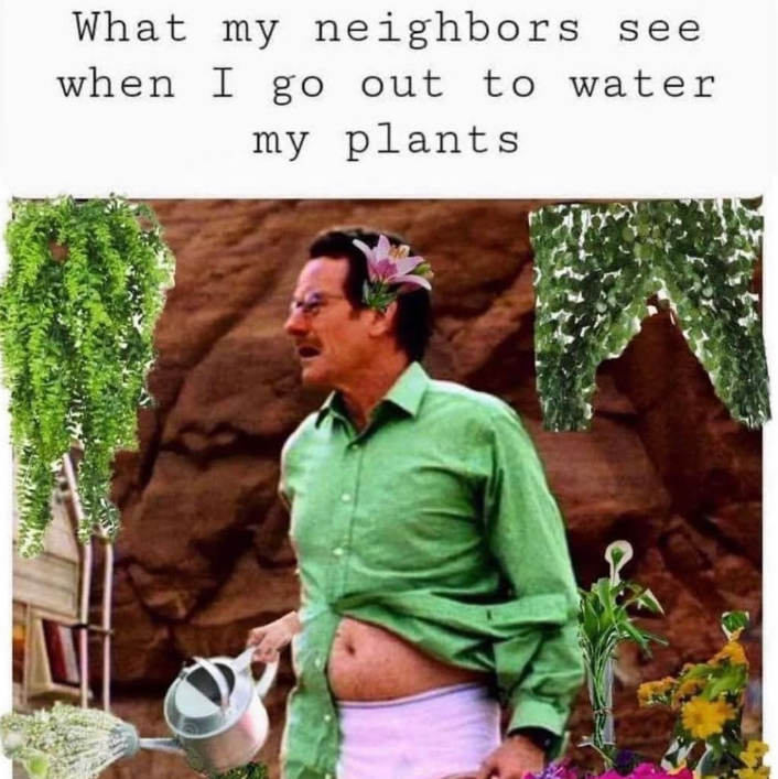 What my neighbors. see when I go out to water my plants