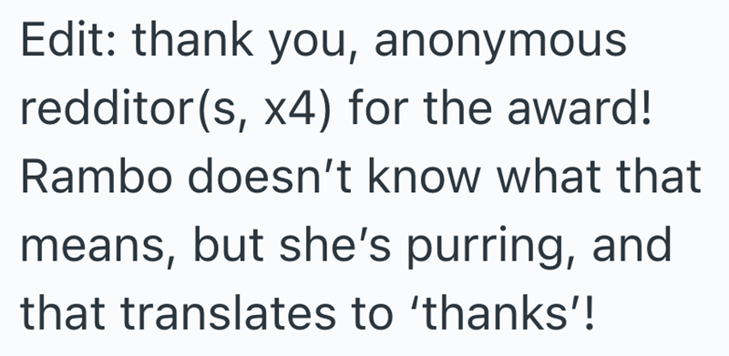 Edit: thank you, anonymous redditor(s, x4) for the award! Rambo doesn't know what that means, but she's purring, and that translates to 'thanks'!