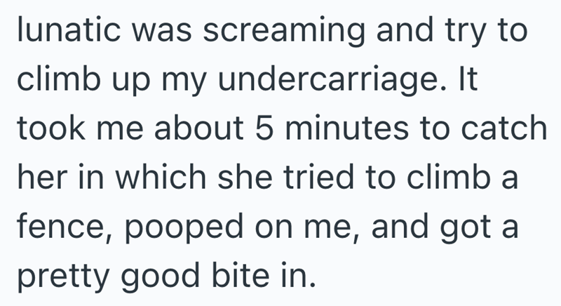 lunatic was screaming and try to climb up my undercarriage. It took me about 5 minutes to catch her in which she tried to climb a fence, pooped on me, and got a pretty good bite in.