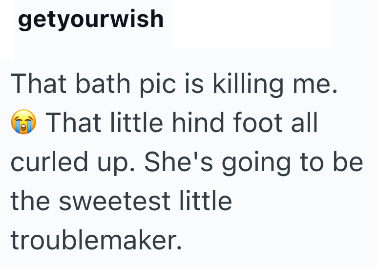 getyourwish That bath pic is killing me. That little hind foot all curled up. She's going to be the sweetest little troublemaker.