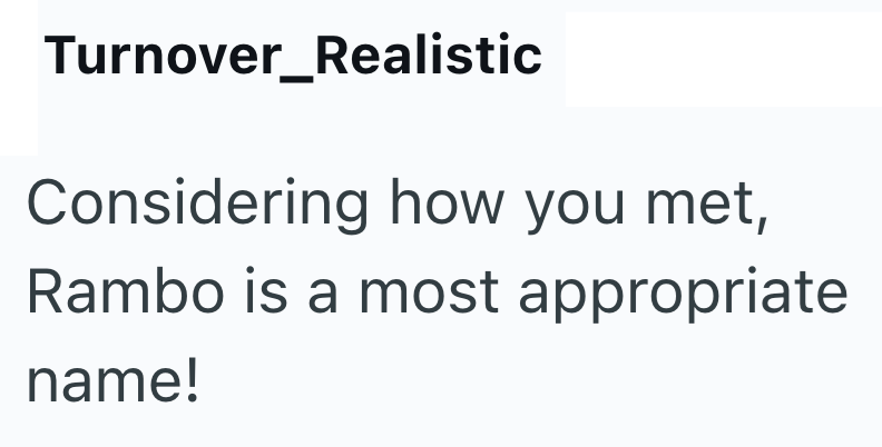 Turnover_Realistic Considering how you met, Rambo is a most appropriate name!