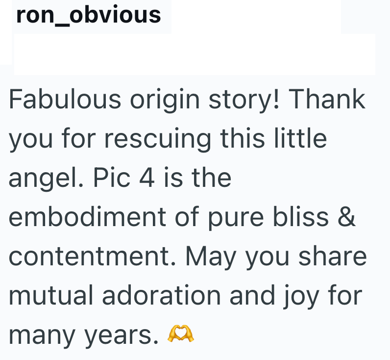 ron_obvious Fabulous origin story! Thank you for rescuing this little angel. Pic 4 is the embodiment of pure bliss & contentment. May you share mutual adoration and joy for many years.