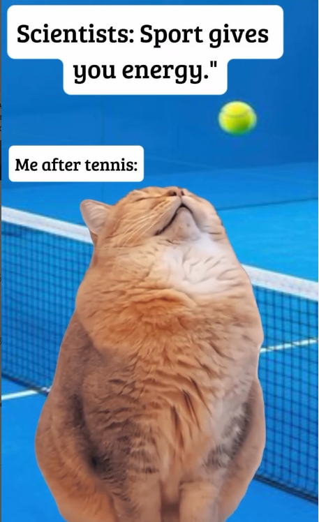 Scientists: Sport gives you energy." Me after tennis: