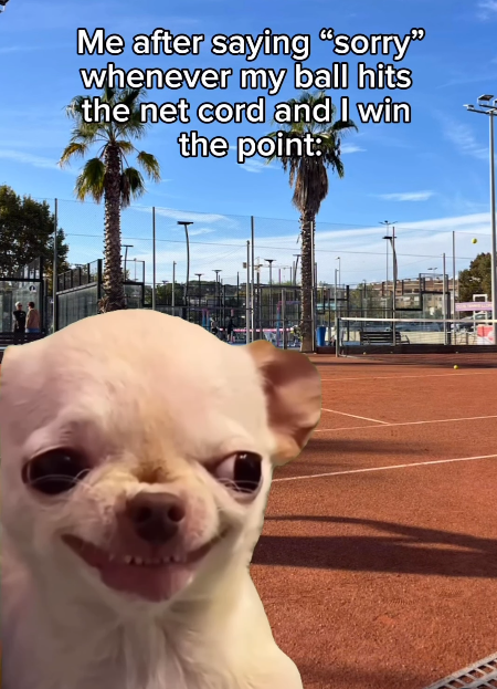 Me after saying "sorry" whenever my ball hits the net cord and I win the point: