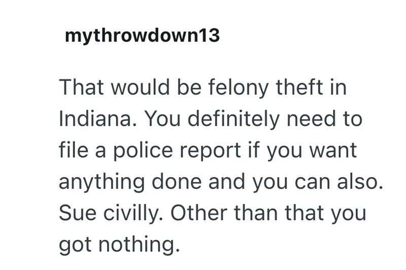 mythrowdown13 That would be felony theft in Indiana. You definitely need to file a police report if you want anything done and you can also. Sue civilly. Other than that you got nothing.