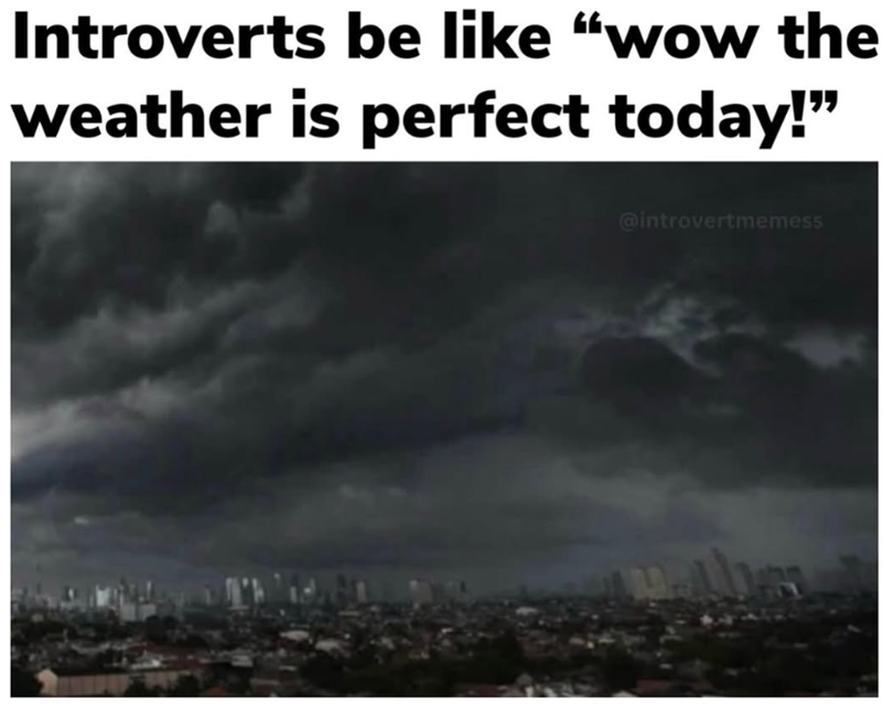 Introverts be like "wow the weather is perfect today!" @introvertmemess