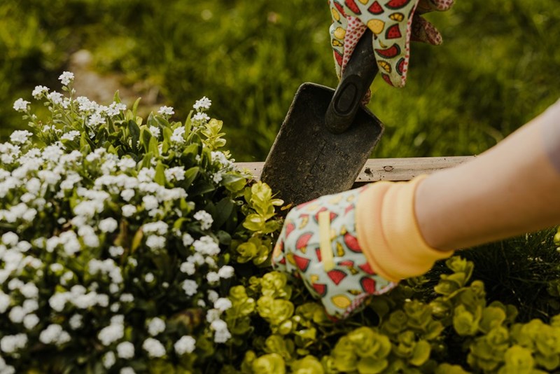 A worker plants flowers in the workplace garden after coworkers refuse to help with gardening and maintenance.