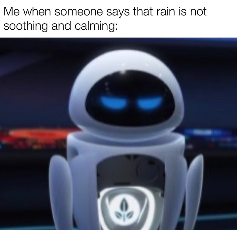 Me when someone says that rain is not soothing and calming: