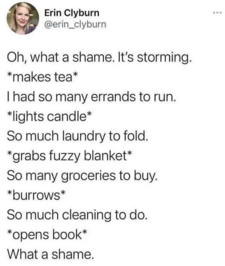 Erin Clyburn @erin_clyburn Oh, what a shame. It's storming. *makes tea* I had so many errands to run. *lights candle* So much laundry to fold. *grabs fuzzy blanket* So many groceries to buy. *burrows* So much cleaning to do. *opens book* What a shame. ***