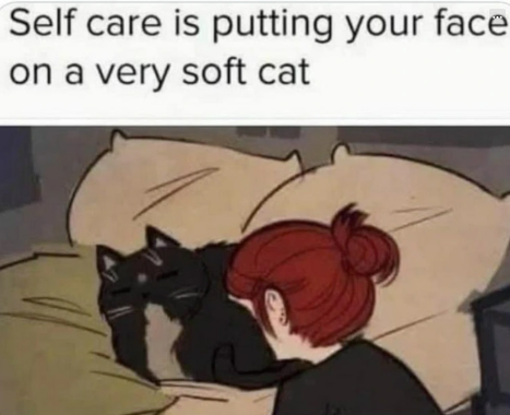 Self care is putting your face on a very soft cat