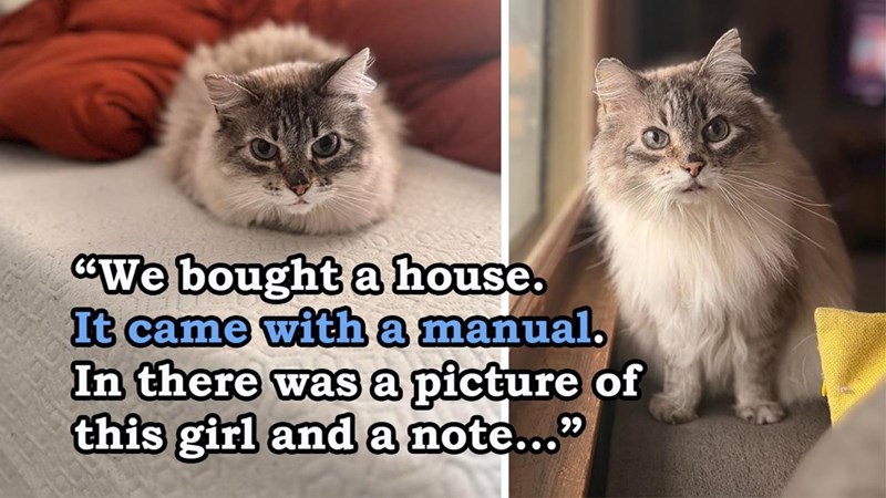 "We bought a house. It came with a manual. In there was a picture of this girl and a note..."