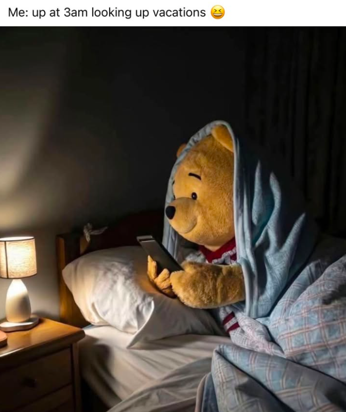 Me: up at 3am looking up vacations