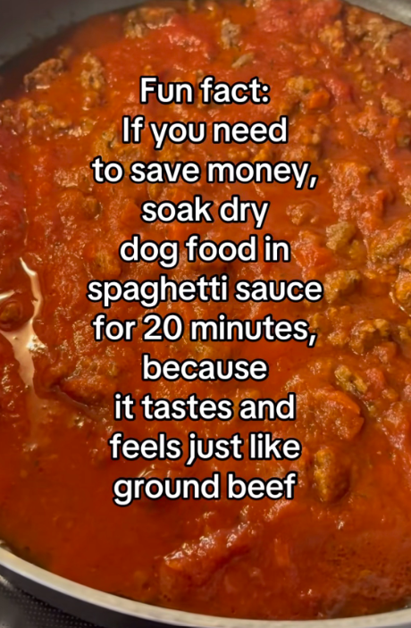 Fun fact: If you need to save money, soak dry dog food in spaghetti sauce for 20 minutes, because it tastes and feels just like ground beef
