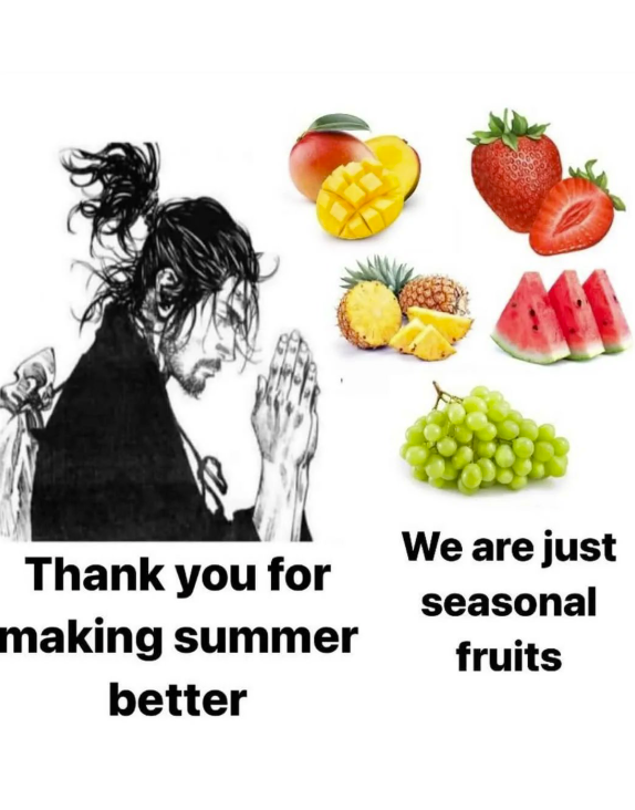 Thank you for making summer better We are just seasonal fruits