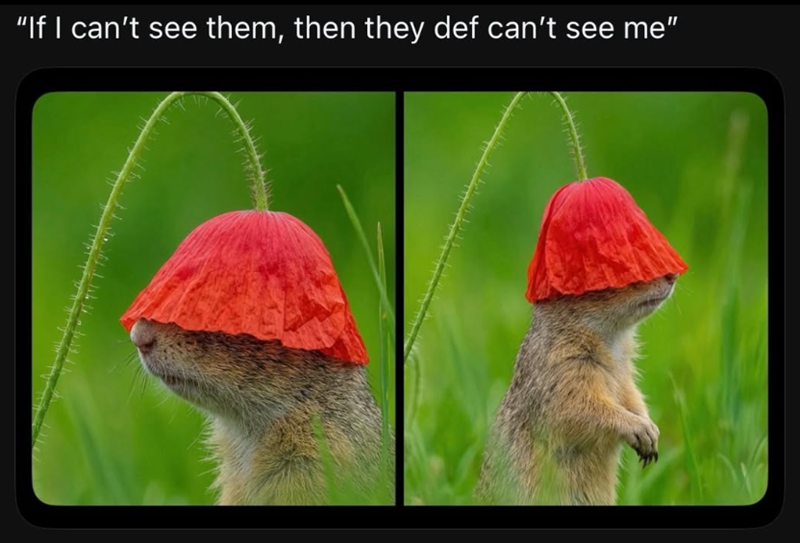 "If I can't see them, then they def can't see me"