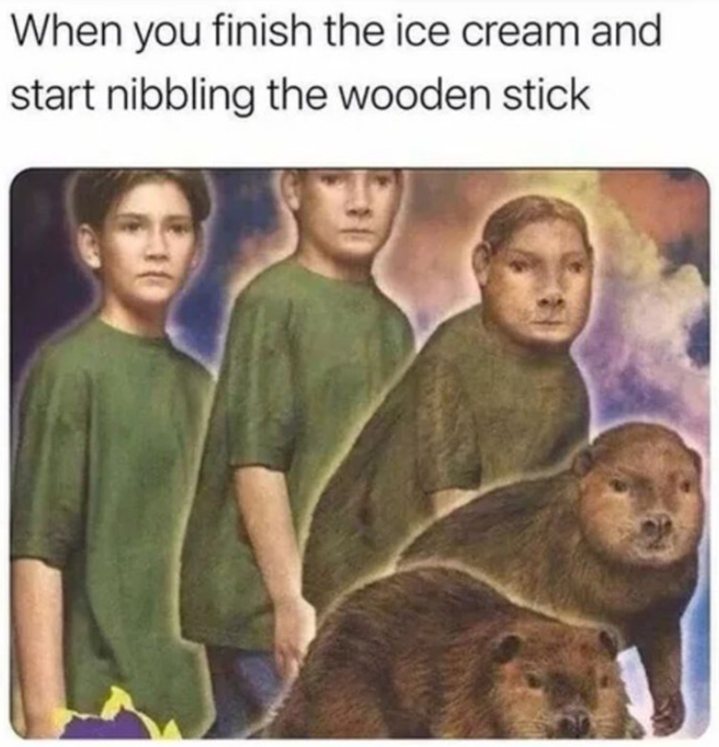 When you finish the ice cream and start nibbling the wooden stick