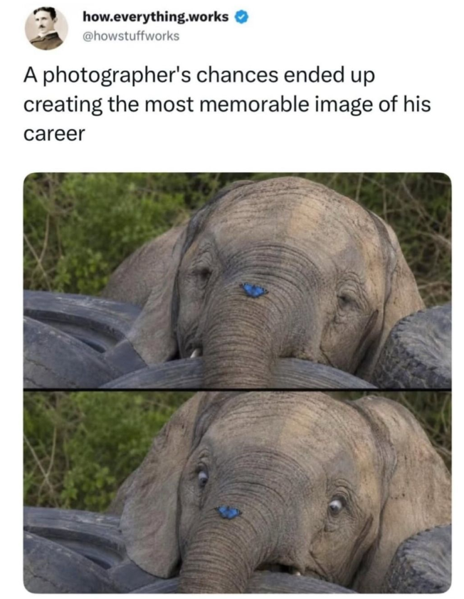how.everything.works @howstuffworks A photographer's chances ended up creating the most memorable image of his career