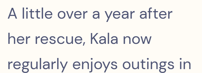 A little over a year after her rescue, Kala now regularly enjoys outings in