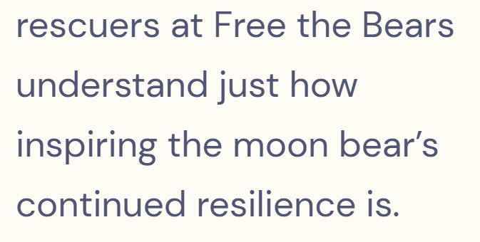 rescuers at Free the Bears understand just how inspiring the moon bear's continued resilience is.