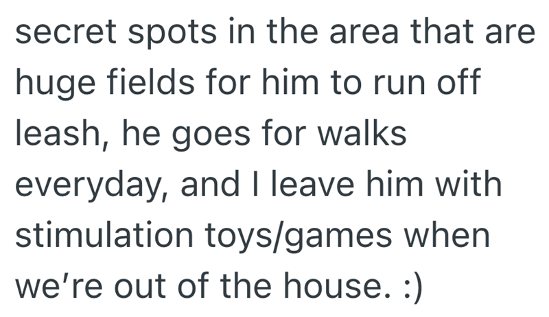 secret spots in the area that are huge fields for him to run off leash, he goes for walks everyday, and I leave him with stimulation toys/games when we're out of the house. :)