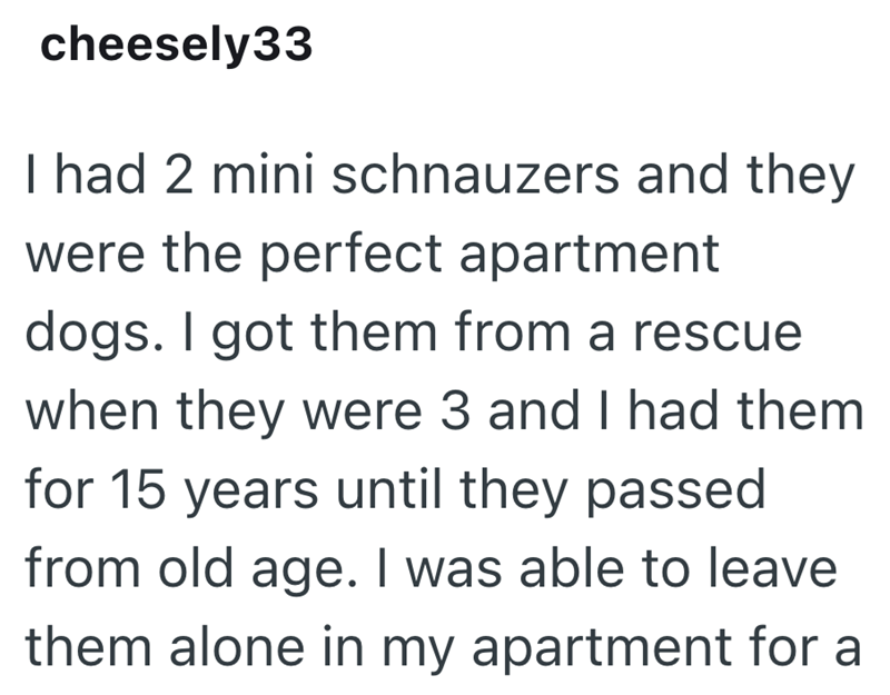 cheesely33 I had 2 mini schnauzers and they were the perfect apartment dogs. I got them from a rescue when they were 3 and I had them for 15 years until they passed from old age. I was able to leave them alone in my apartment for a
