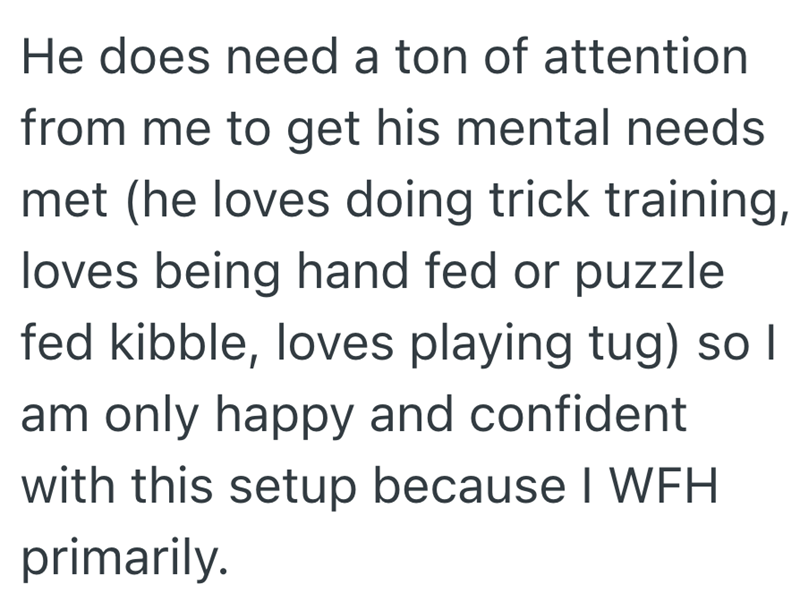 He does need a ton of attention from me to get his mental needs met (he loves doing trick training, loves being hand fed or puzzle fed kibble, loves playing tug) so I am only happy and confident with this setup because I WFH primarily.