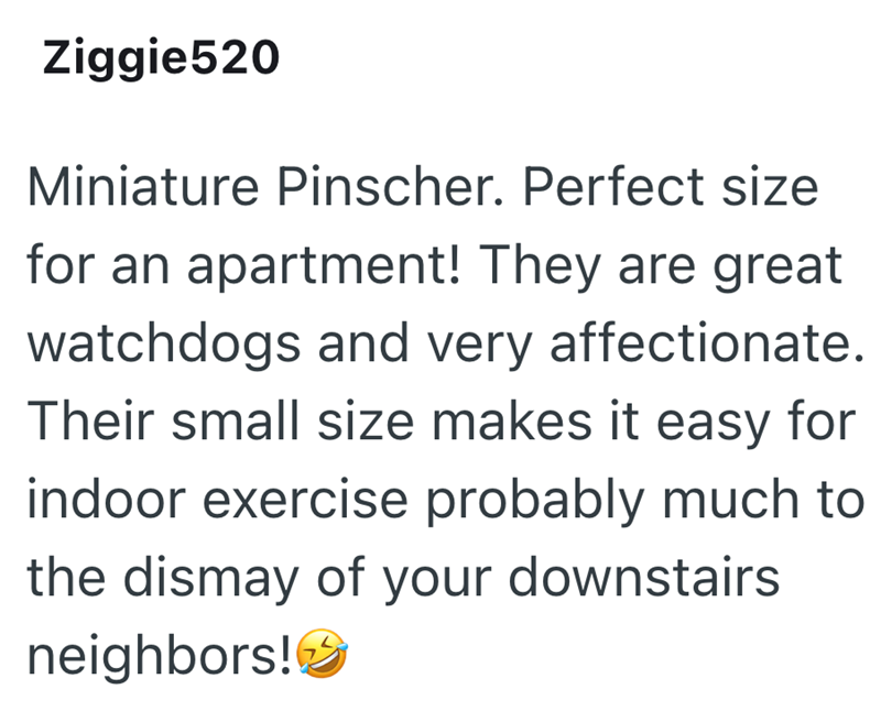 Ziggie520 Miniature Pinscher. Perfect size for an apartment! They are great watchdogs and very affectionate. Their small size makes it easy for indoor exercise probably much to the dismay of your downstairs neighbors!>