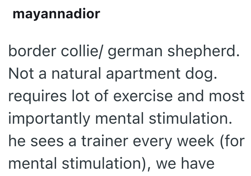 mayannadior border collie/german shepherd. Not a natural apartment dog. requires lot of exercise and most importantly mental stimulation. he sees a trainer every week (for mental stimulation), we have