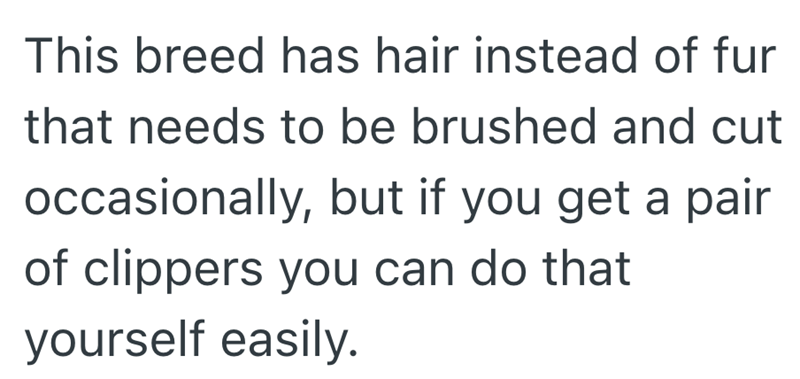 This breed has hair instead of fur that needs to be brushed and cut occasionally, but if you get a pair of clippers you can do that yourself easily.