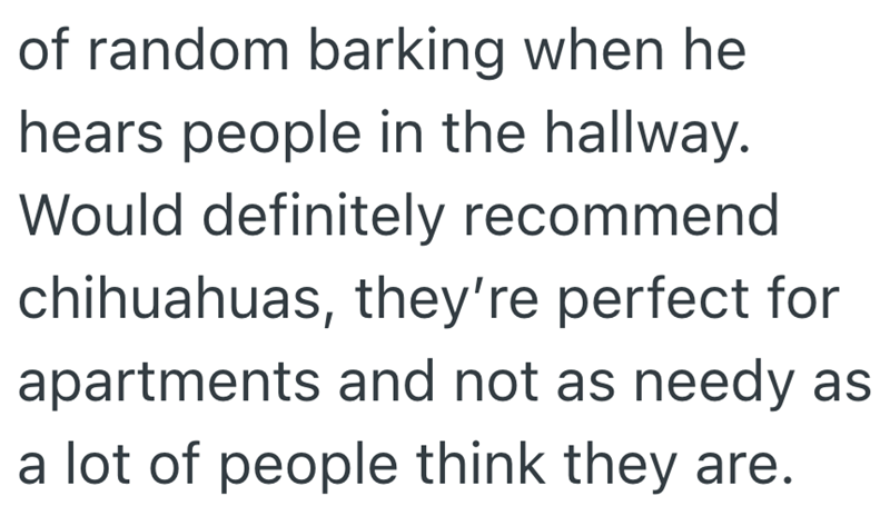 of random barking when he hears people in the hallway. Would definitely recommend chihuahuas, they're perfect for apartments and not as needy as a lot of people think they are.