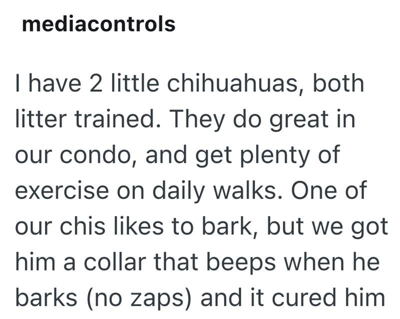 mediacontrols I have 2 little chihuahuas, both litter trained. They do great in our condo, and get plenty of exercise on daily walks. One of our chis likes to bark, but we got him a collar that beeps when he barks (no zaps) and it cured him