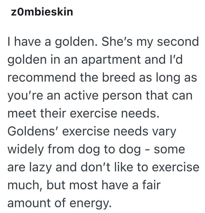 zombieskin I have a golden. She's my second golden in an apartment and I'd recommend the breed as long as you're an active person that can meet their exercise needs. Goldens' exercise needs vary widely from dog to dog - some are lazy and don't like to exercise much, but most have a fair amount of energy.