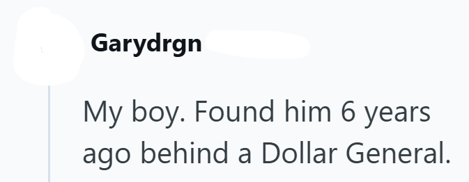 Garydrgn My boy. Found him 6 years ago behind a Dollar General.