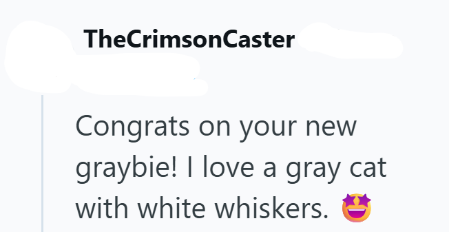 TheCrimsonCaster Congrats on your new graybie! I love a gray cat with white whiskers.