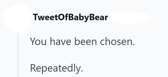TweetOfBabyBear You have been chosen. Repeatedly.