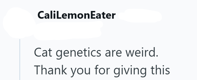 CaliLemonEater Cat genetics are weird. Thank you for giving this