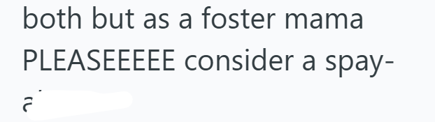 both but as a foster mama PLEASEEEEE consider a spay- a