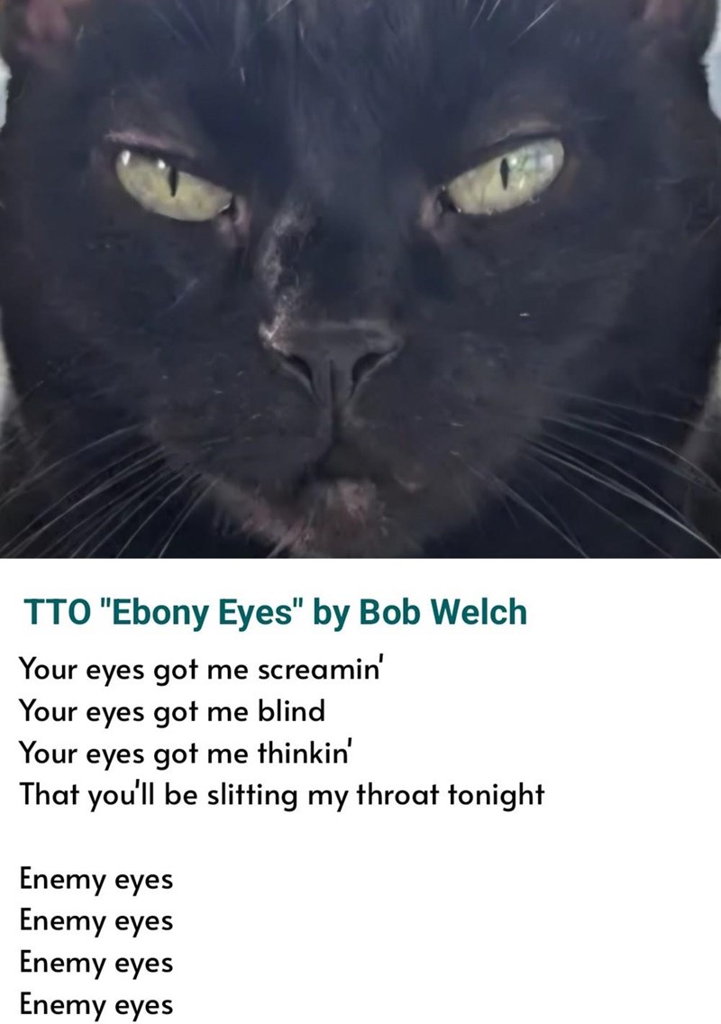 TTO "Ebony Eyes" by Bob Welch Your eyes got me screamin' Your eyes got me blind Your eyes got me thinkin' That you'll be slitting my throat tonight Enemy eyes Enemy eyes Enemy eyes Enemy eyes