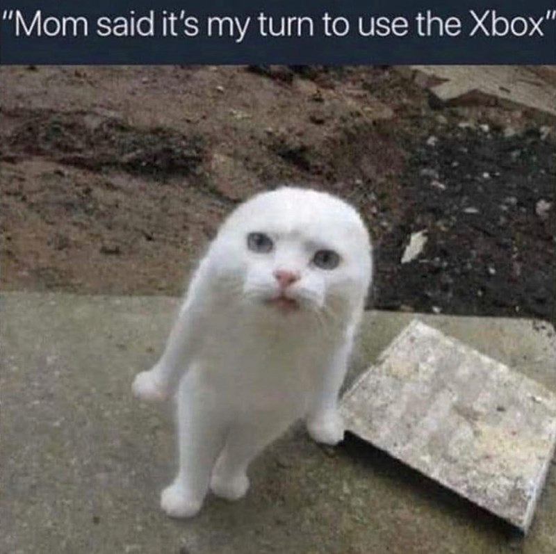 "Mom said it's my turn to use the Xbox"