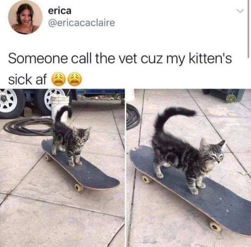 erica @ericacaclaire Someone call the vet cuz my kitten's sick af
