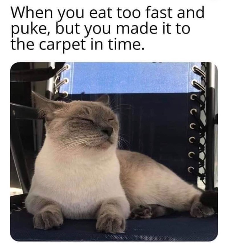 When you eat too fast and puke, but you made it to the carpet in time. 22
