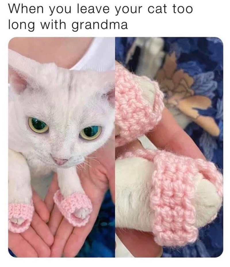 When you leave your cat too long with grandma