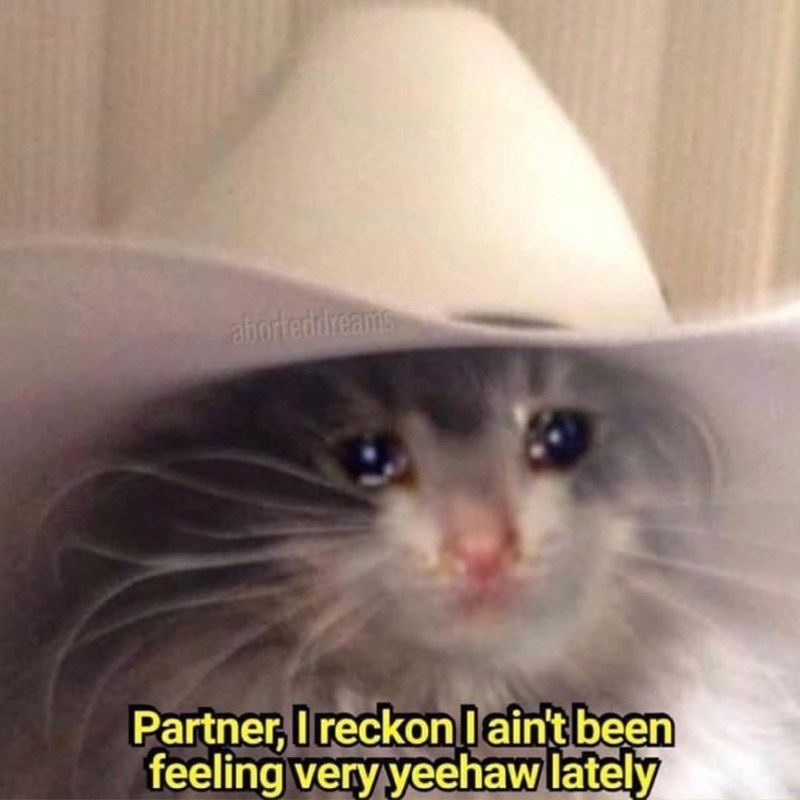 aborteddreams Partner, I reckon I ain't been feeling very yeehaw lately