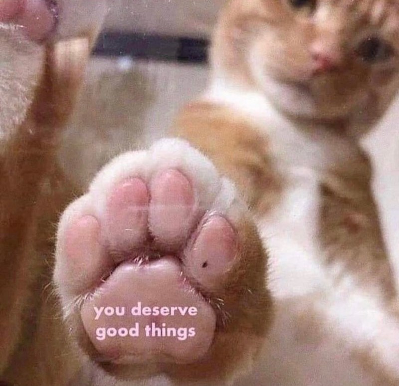 you deserve good things
