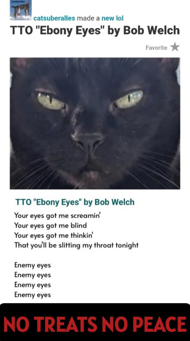 catsuberalles made a new lol TTO "Ebony Eyes" by Bob Welch Favorite TTO "Ebony Eyes" by Bob Welch Your eyes got me screamin' Your eyes got me blind Your eyes got me thinkin' That you'll be slitting my throat tonight Enemy eyes Enemy eyes Enemy eyes Enemy eyes NO TREATS NO PEACE
