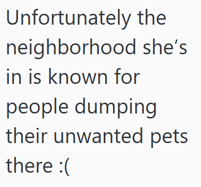Unfortunately the neighborhood she's in is known for people dumping their unwanted pets there :(