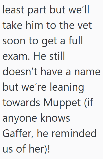 least part but we'll take him to the vet soon to get a full exam. He still doesn't have a name but we're leaning towards Muppet (if anyone knows Gaffer, he reminded us of her)!