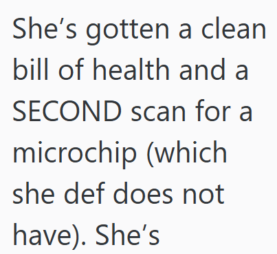 She's gotten a clean bill of health and a SECOND scan for a microchip (which she def does not have). She's