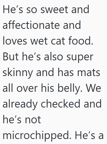 He's so sweet and affectionate and loves wet cat food. But he's also super skinny and has mats all over his belly. We already checked and he's not microchipped. He's a